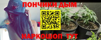 мет Моздок