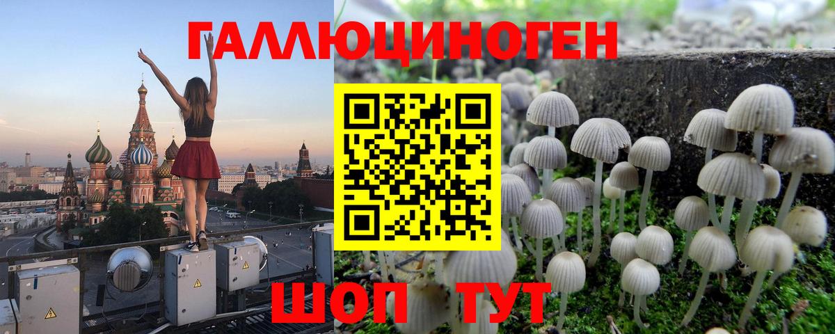 Псилоцибиновые грибы мицелий  Псилоцибиновые грибы GOLDEN TEACHER  Вход с VPN  Хабаровск 
